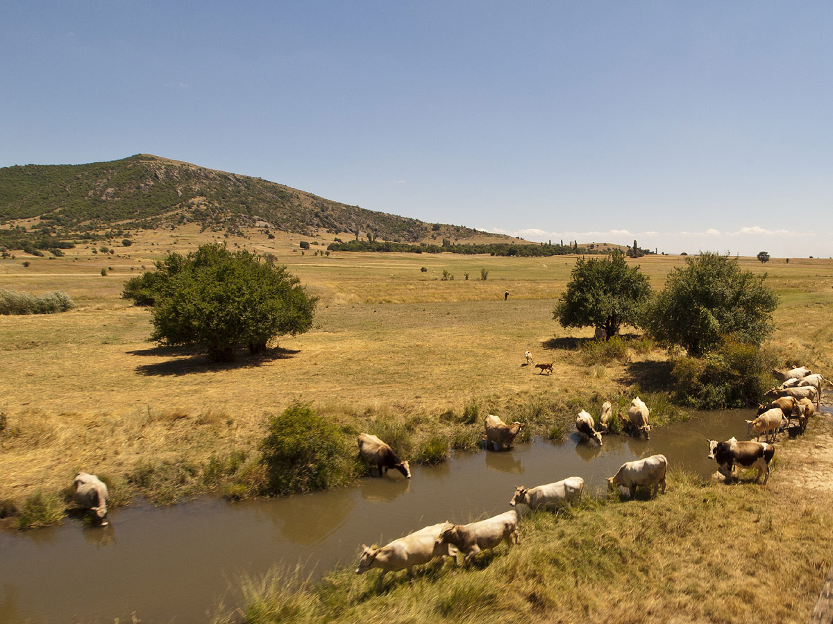 Prilep Field (Photo license: CC BY-NC 2.0)